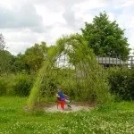 Як виростити свою живу альтанку, фотоприклади ландшафту і екстер'єру