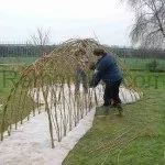Як виростити свою живу альтанку, фотоприклади ландшафту і екстер'єру