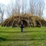 Як виростити свою живу альтанку, фотоприклади ландшафту і екстер'єру