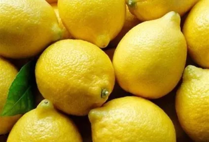 Як зберігати лимони в домашніх умовах, якщо вони цілі або нарізані (зберігати) Як зберігати лимони в домашніх умовах, якщо вони цілі або нарізані