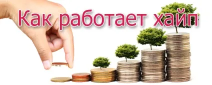 Як заробити на хайпах- типи хайпів, методи іннестірвнія - paying hyip monitor (Суть методу зводиться) Як заробити на хайпах- типи хайпів, методи іннестірвнія - paying hyip monitor
