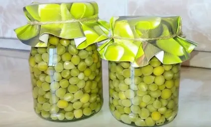 Як закрити зелений горошок на зиму в домашніх умовах (консервування зеленого горошку в домашніх умовах) Як закрити зелений горошок на зиму в домашніх умовах