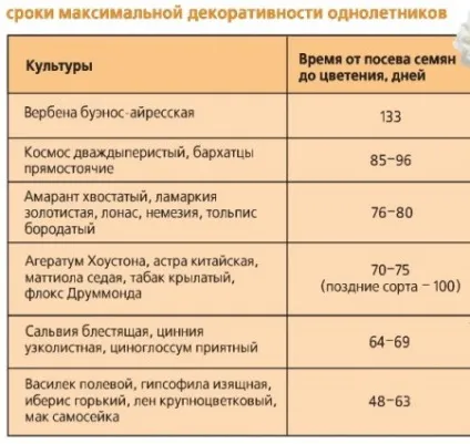 Календар посіву квітів на розсаду (посіву) Календар посіву квітів на розсаду