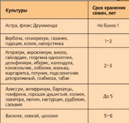 Календар посіву квітів на розсаду (вирощування розсади квітів) Календар посіву квітів на розсаду