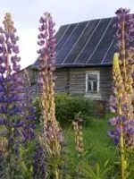 До чого сняться хвилі (чого сняться хвилі) До чого сняться хвилі