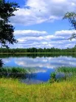 До чого сняться хвилі (хвилі) До чого сняться хвилі