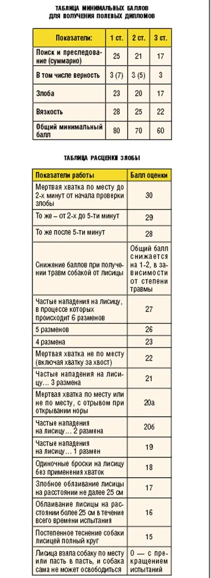 До випробувань норних - мисливські собаки