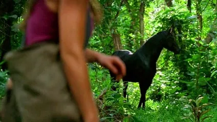 Кінотуризм де знімали серіал lost