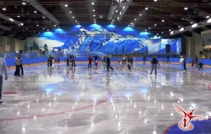 Ковзанки в москві найбільший каток, безкоштовні ковзанки в парках, криті ковзанки - вісник до
