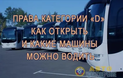 Категорія «d» - як відкрити і які машини можна водити (Варіант рушити місця) Категорія «d» - як відкрити і які машини можна водити