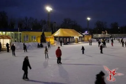 Ковзанки в москві найбільший каток, безкоштовні ковзанки в парках, криті ковзанки - вісник до