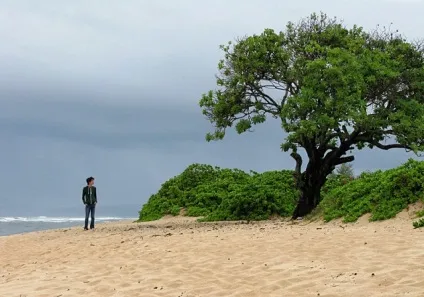 Кінотуризм де знімали серіал lost