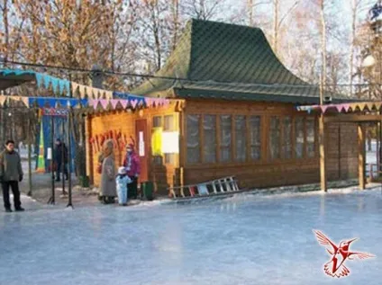 Ковзанки в москві найбільший каток, безкоштовні ковзанки в парках, криті ковзанки - вісник до