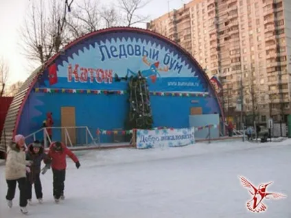 Ковзанки в москві найбільший каток, безкоштовні ковзанки в парках, криті ковзанки - вісник до