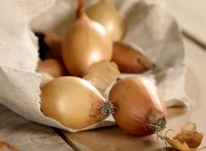 Лук від нежиті дітям - як і з якого віку допустимо використання продуктів для допомоги малюкові (дітям) Лук від нежиті дітям - як і з якого віку допустимо використання продуктів для допомоги малюкові