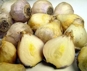 Цибулини, бульбоцибулини, бульби