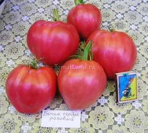 Кращі томати 2017 року