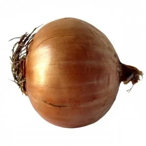 Цибулини, бульбоцибулини, бульби