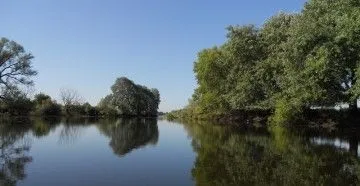 Ловля щуки - кращі способи і методи як зловити