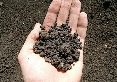 Ліцензія на користування надрами - особливості оформлення важливого документа (видобутком природних ресурсів) Ліцензія на користування надрами - особливості оформлення важливого документа