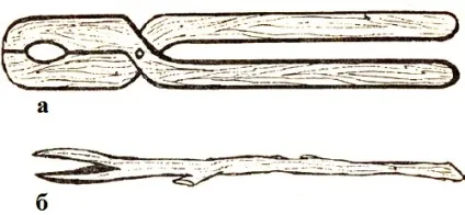 Ловля річкових раків