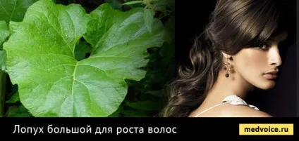 Кращі засоби для росту волосся шампуні та спреї, вітаміни і ампули, гірчичні маски і нікотинова (кошти) Кращі засоби для росту волосся шампуні та спреї, вітаміни і ампули, гірчичні маски і нікотинова