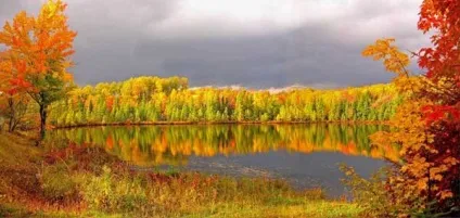 Місячний календар краси і здоров'я на вересень 2015 року, блог Ірини Зайцевої (місячний календар краси і здоров'я на вересень 2015 року) Місячний календар краси і здоров'я на вересень 2015 року, блог Ірини Зайцевої