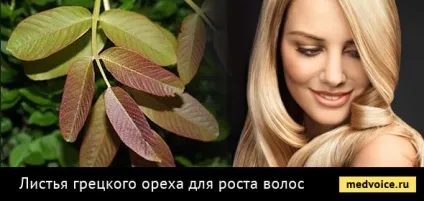 Кращі засоби для росту волосся шампуні та спреї, вітаміни і ампули, гірчичні маски і нікотинова (шампуні) Кращі засоби для росту волосся шампуні та спреї, вітаміни і ампули, гірчичні маски і нікотинова