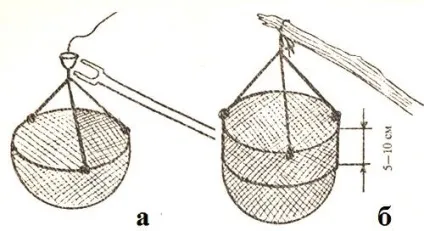 Ловля річкових раків