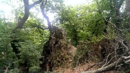 Кращий маршрут теренкури для походу в гори з дитиною (терренкура) Кращий маршрут теренкури для походу в гори з дитиною