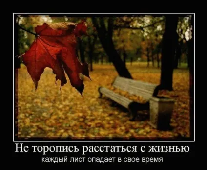 Кращі демотиватори про любов »(демотиватори) Кращі демотиватори про любов »