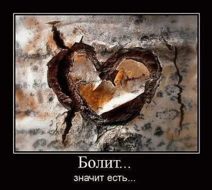 Кращі демотиватори про любов »(демотиватори) Кращі демотиватори про любов »