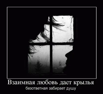 Кращі демотиватори про любов »(любов) Кращі демотиватори про любов »