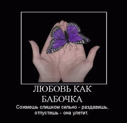 Кращі демотиватори про любов »(любов) Кращі демотиватори про любов »