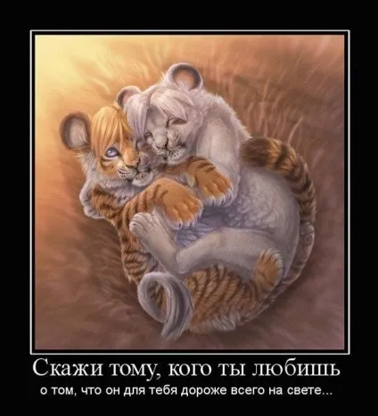 Кращі демотиватори про любов »(любов) Кращі демотиватори про любов »