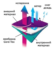 Що таке мембрана