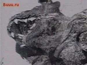 Що таке чупакабра
