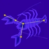 Що шкідливо для кішок котохаус кішки, породи кішок, догляд за кішками, виховання кішок