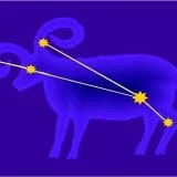 Що шкідливо для кішок котохаус кішки, породи кішок, догляд за кішками, виховання кішок