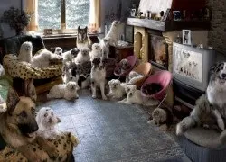 Що важливо знати при відкритті магазину постільної білизни (білизни) Що важливо знати при відкритті магазину постільної білизни