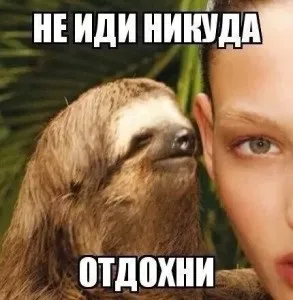 Що таке позитивна психологія (психологія) Що таке позитивна психологія