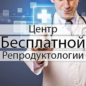 Що там у еврохохлов », або 265 метрів сорому - новини від