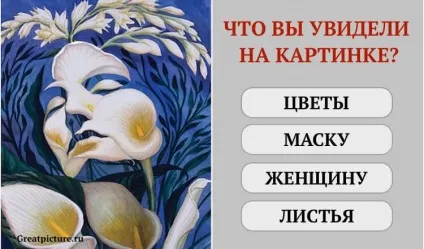 Що ви побачили на зображенні першим точність тесту просто вражає! (Зображення) Що ви побачили на зображенні першим точність тесту просто вражає!