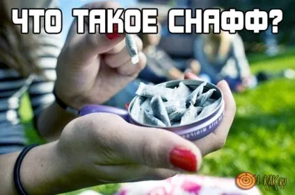 Що таке снафф фото, застосування, вживання, шкоду речовини, наркотик чи це (шкода) Що таке снафф фото, застосування, вживання, шкоду речовини, наркотик чи це