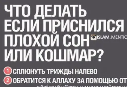 Що ти зробив сьогодні заради аллаха (20 питань) Що ти зробив сьогодні заради аллаха