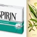 Coco glucoside (кокоглюкозид) шкоду і користь для організму людини (кокоглюкозид) Coco glucoside (кокоглюкозид) шкоду і користь для організму людини