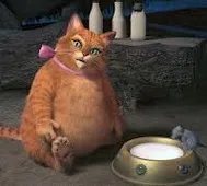 Що значить, якщо хлопець не привітав з днем народження що означає (вдень) Що значить, якщо хлопець не привітав з днем народження що означає