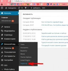 Css wordpress