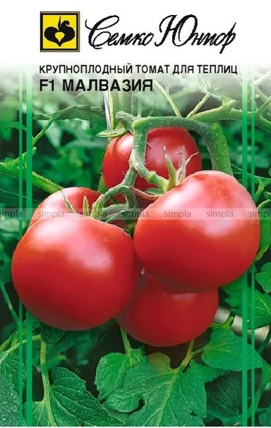 Cорт томатів для теплиць червоні, жовті, чорні, опису з фото (теплиць) Cорт томатів для теплиць червоні, жовті, чорні, опису з фото