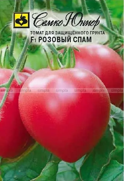 Cорт томатів для теплиць червоні, жовті, чорні, опису з фото (томатів) Cорт томатів для теплиць червоні, жовті, чорні, опису з фото